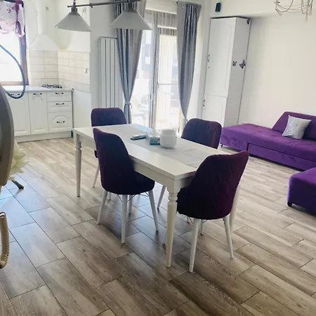 Andy Mamaia Nord 30 M De Plaja Appartement
